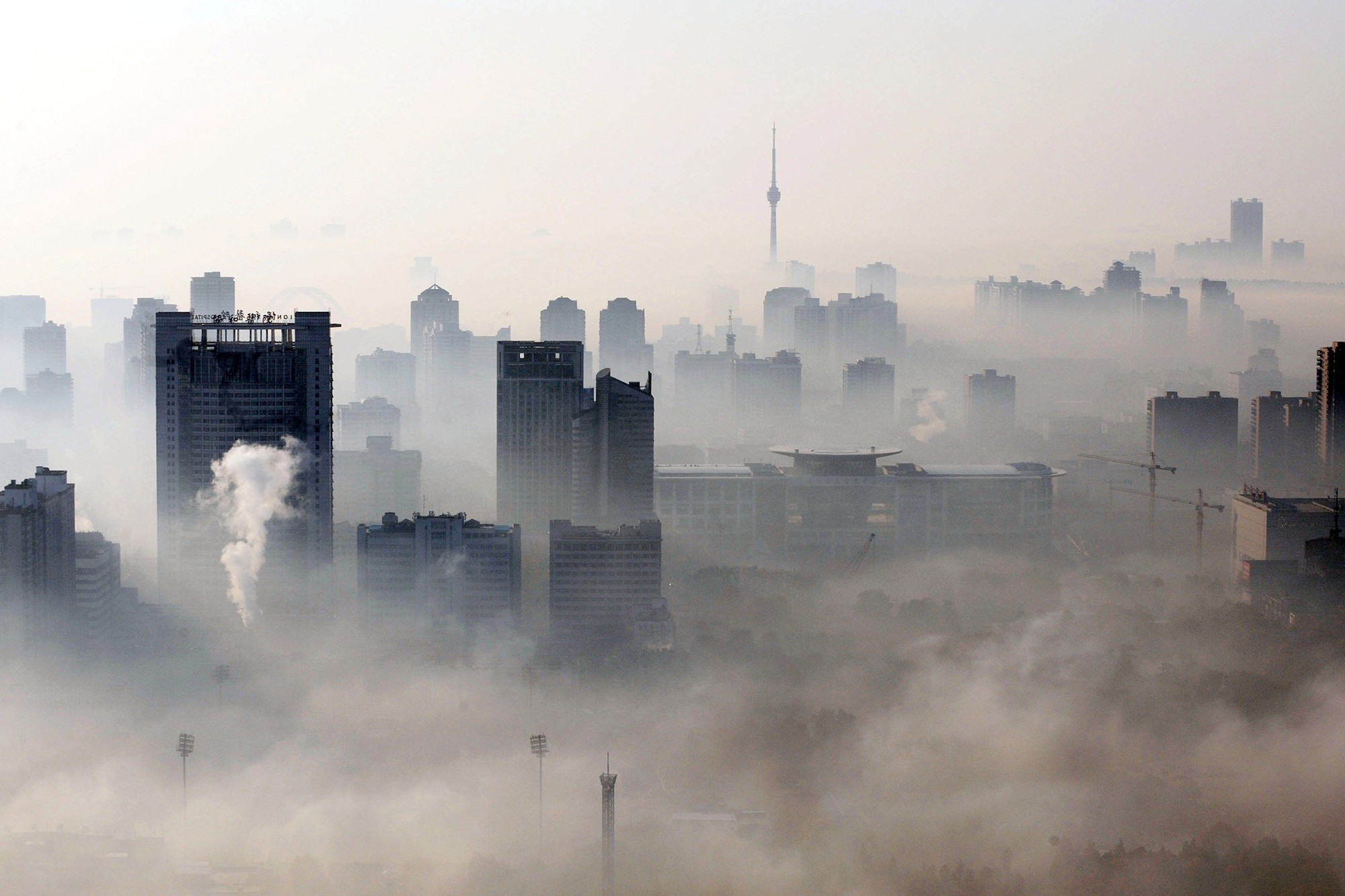 Что такое смог в погоде весной чем опасен для человека фото и название