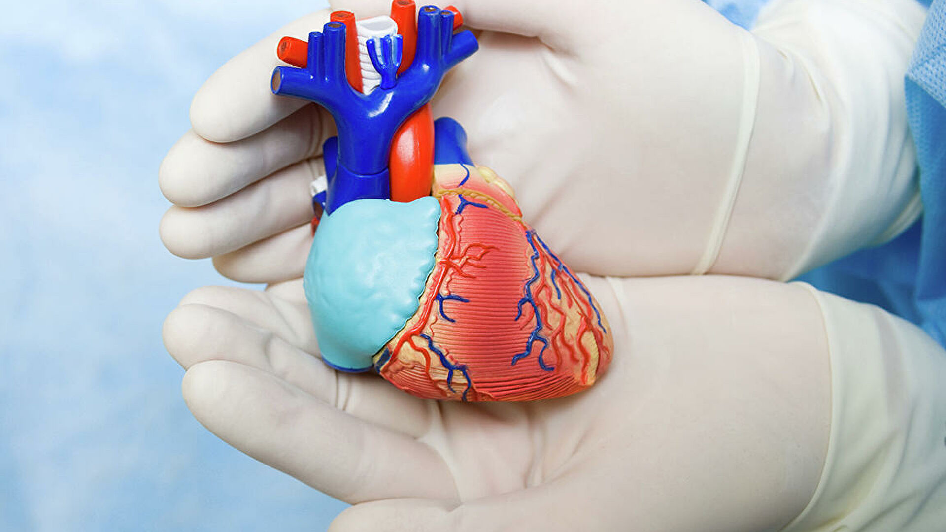 Что нужно знать об инфаркте миокарда?
