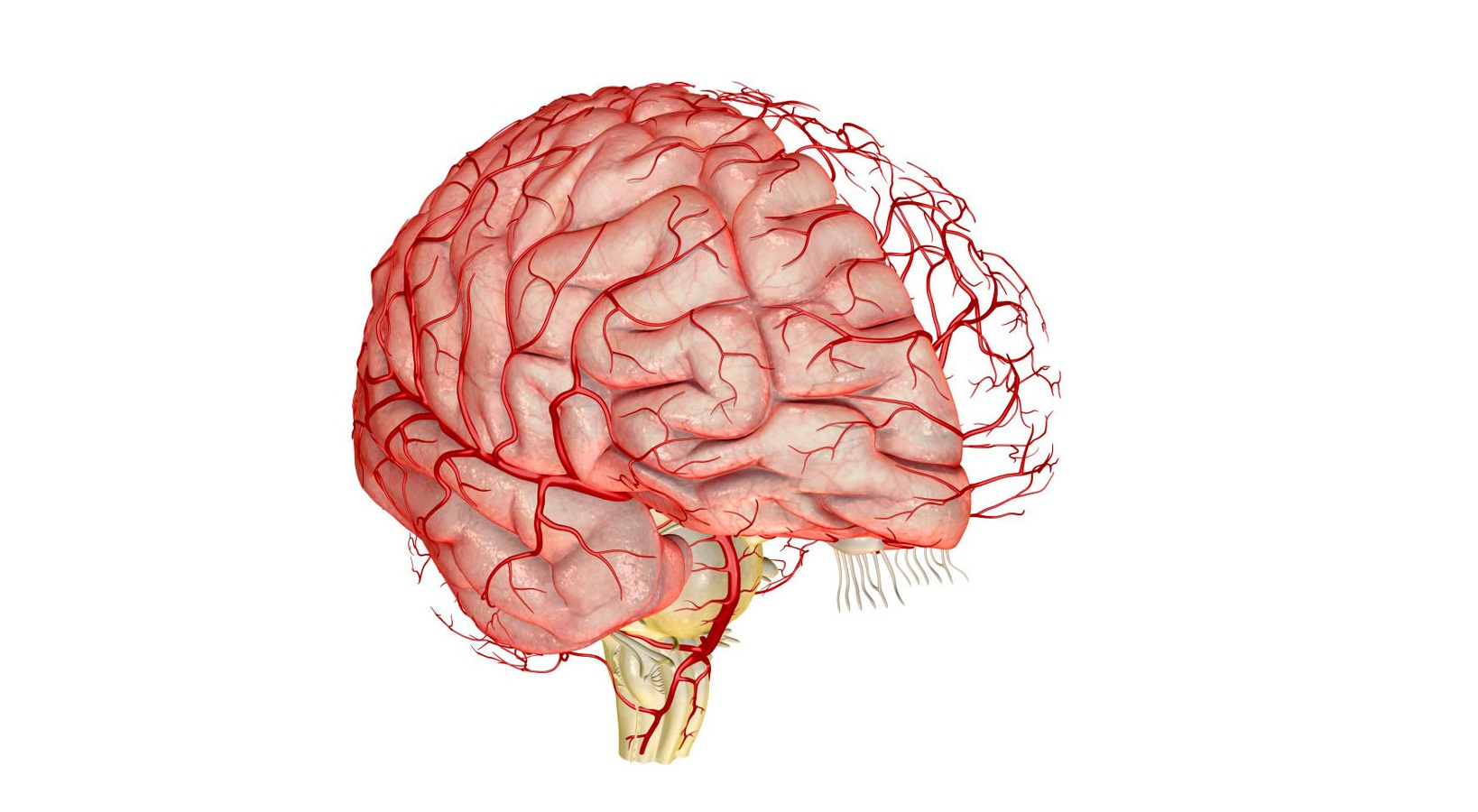 Последствия нарушений кровообращения в головном мозге