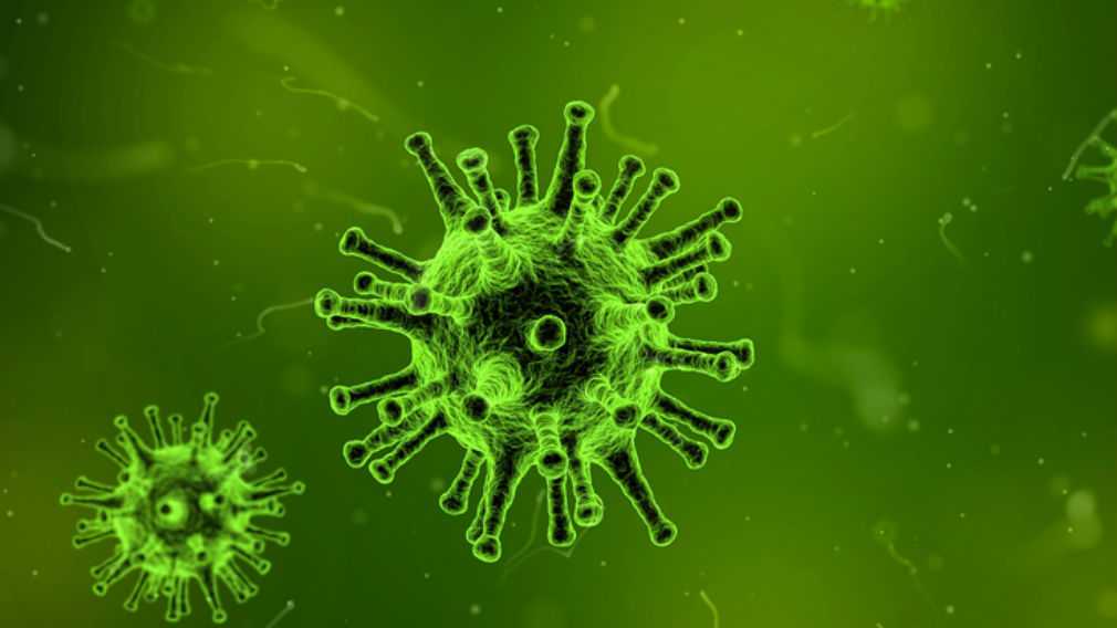 Учёные находят новые слабые места коронавирусов - картинка