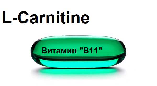 Витамин B11 (L-Карнитин) - ZDRAVBUD.NET
